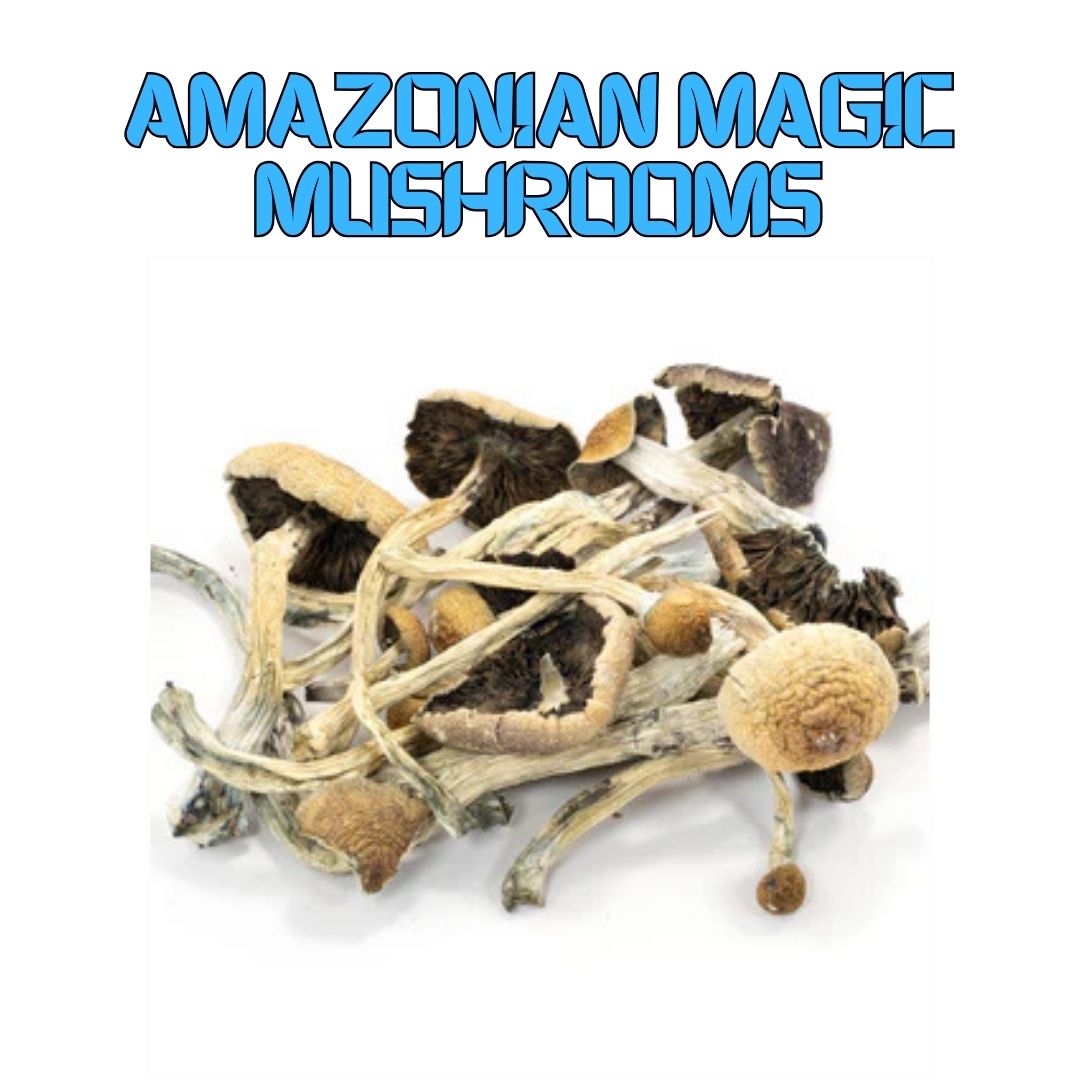 Amazonian Magic Mushrooms - Astra Meds