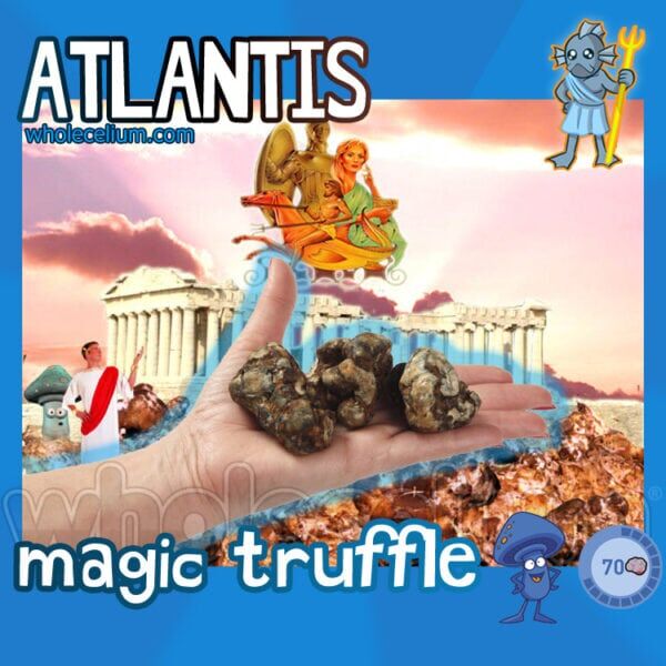 The ATLANTIS magic truffle - Astra Meds