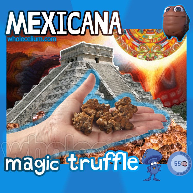 MEXICANA magic truffles - Astra Meds